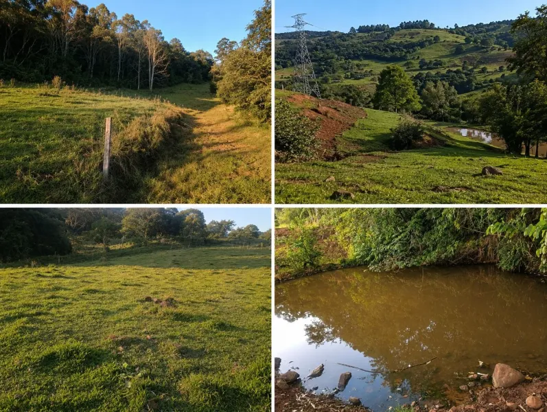 Chácara no Interio, Arvoredo - Imobiliária - foto 4