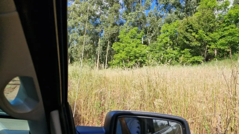 Chácara no Interior, Cordilheira Alta - Imobiliária - foto 3