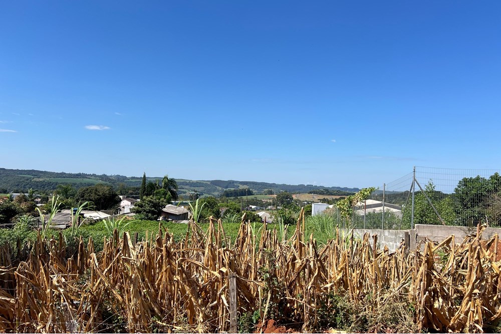 Terrenos com 525,00m² em ótima localização e rua com asfalto