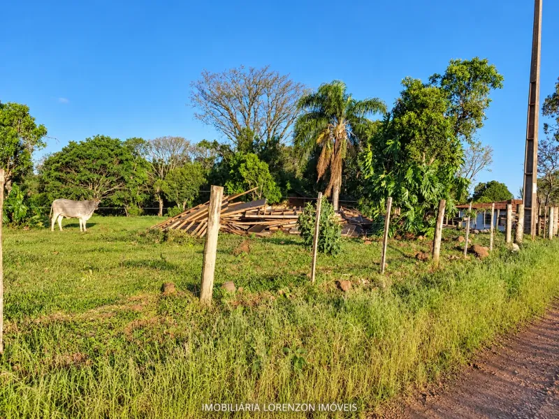 Terrenos rurais à venda na Linha Siqueira em Guatambu SC