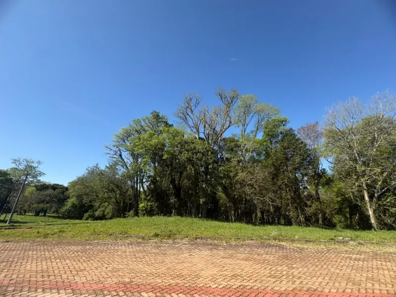 Terreno/Lote no São Caetano, Erechim - Imobiliária - foto 10