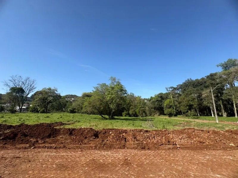 Terreno/Lote no São Caetano, Erechim - Imobiliária - foto 9