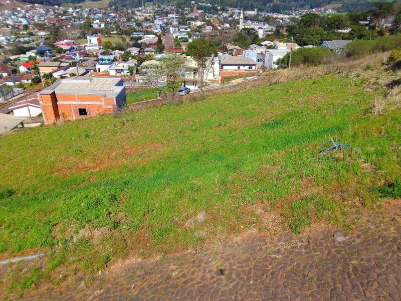 Terreno/Lote no Malysz, Barão de Cotegipe - Imobiliária - foto 4
