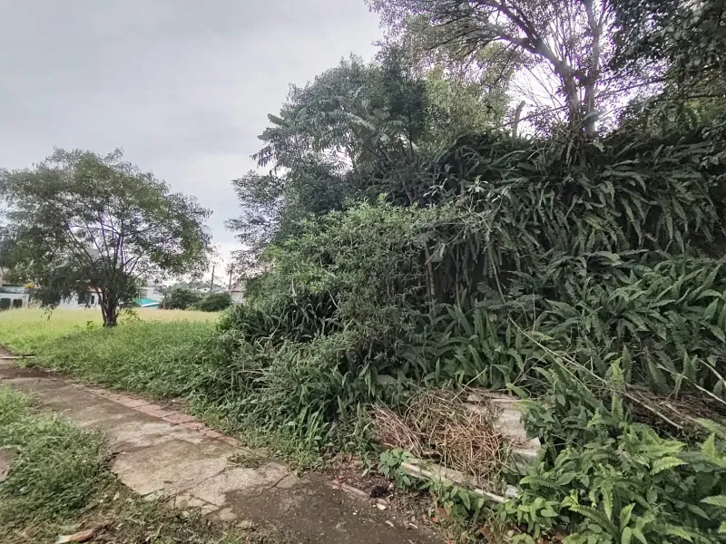 Terreno/Lote no Centro, Erechim - Imobiliária - foto 5