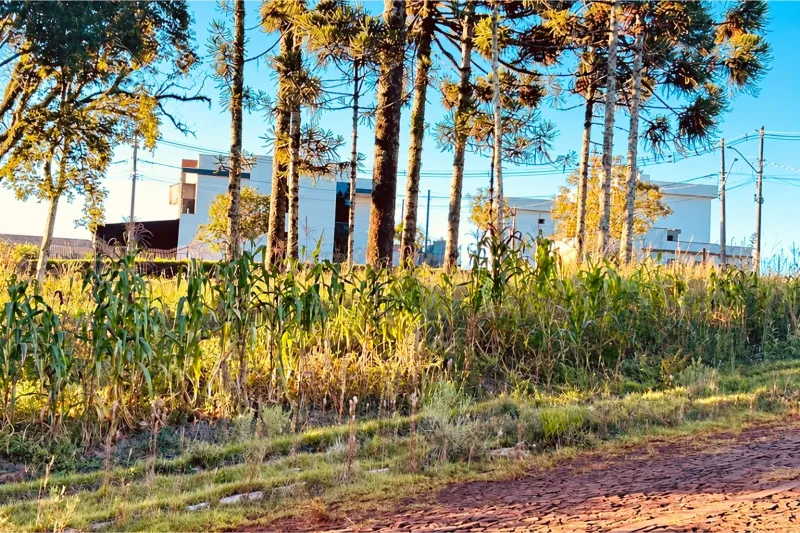 Terreno/Lote no Jabuticabal, Erechim - Imobiliária - foto 12