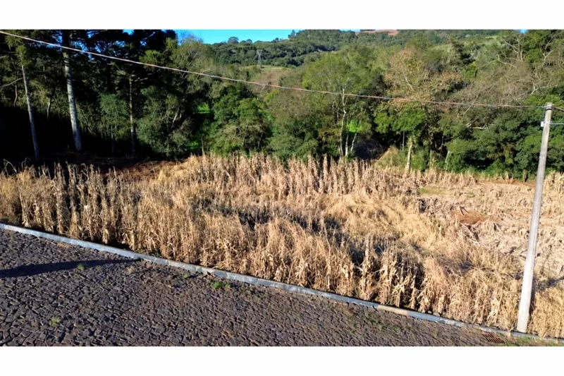TERRENO NO CENTRO DE BARÃO DE COTEGIPE/RS