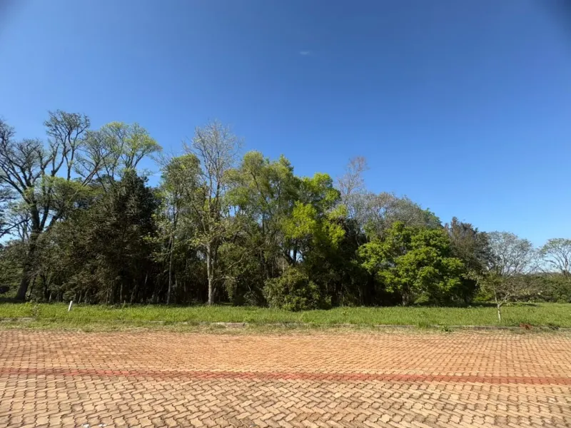 Terreno/Lote no São Caetano, Erechim - Imobiliária - foto 12