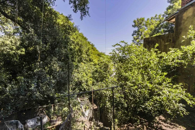 Casa no Santa Tereza, Porto Alegre - Imobiliária - foto 37