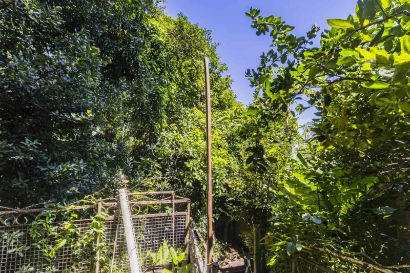 Casa no Santa Tereza, Porto Alegre - Imobiliária - foto 39